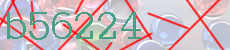 b56224